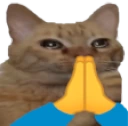 catPrayge emote