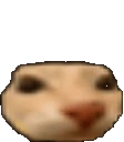 doseBounce emote