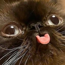 blep emoji