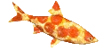 PizzaFishSpin emote