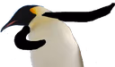 PinguDab emote