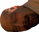 SadWalterWhite emote