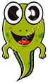 RANACUAJO emote