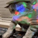 catDJ emote