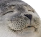 seal emote