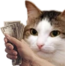kiisu_cash emote