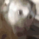 MonkeyEvilLaugh emote