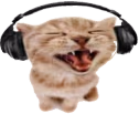 sillycatwithheadphones emote