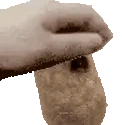 petpotato emote