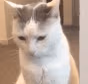 CE_Nononono emote