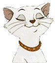 happy_cat emote