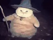 fatasswizardblicky emote