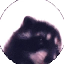 PEDRO emote