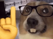 Ackshually emote
