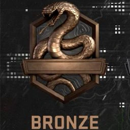 COD_Bronze emote
