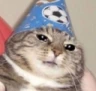 CE_SadWizard emote