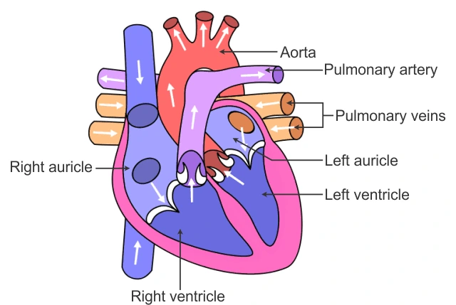 heart emote