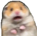 Hamster_spooked emoji