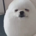 egg emote