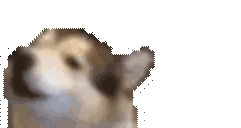 WOOF emote