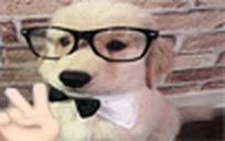 pp emote
