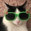 CatGreenGlasses emote