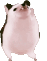 hedgehogWiggle