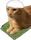 HARAMcat emote