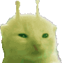 glorpRave animated emote