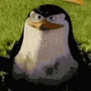 youdidntseeanything emote