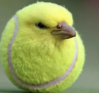 Ball emote