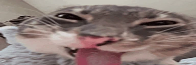 FREAKY emote