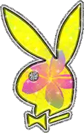 Playboy_11 emote