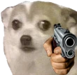 wtf_gun emote