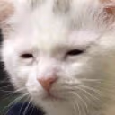 awakebutatwhatcost emote