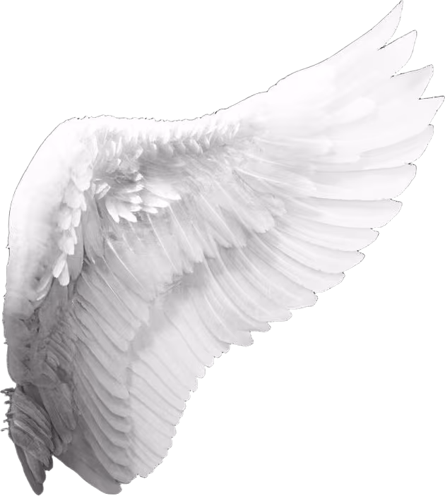 wing emote