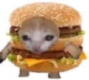 CatBorgar emote