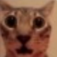 gato emoji