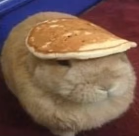 Coelhopanqueca emote
