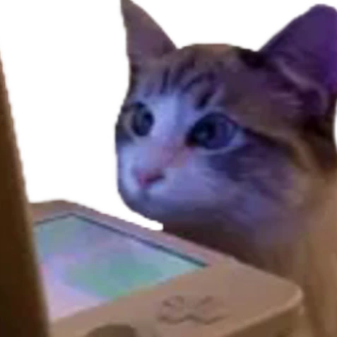 CatDS emote