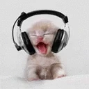 BabyCatJAM emote