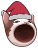 cat_ahh emote