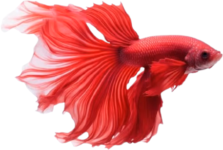 redfish emote
