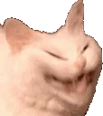 catLaughing emote