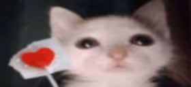 DankiHeart emote