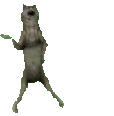 FurryDance emote
