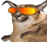 FloppaWicked emote