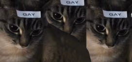wekos emote