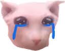 bingusSob emote