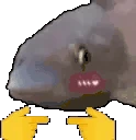 fishShy emote